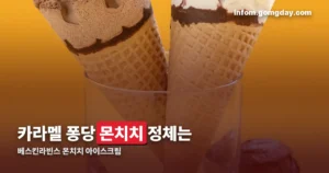 베스킨라빈스 몬치치 정리 썸네일
