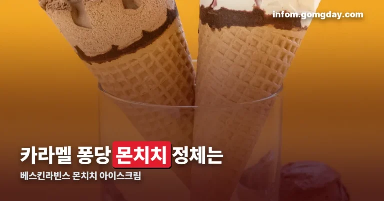 베스킨라빈스 몬치치 정리 썸네일