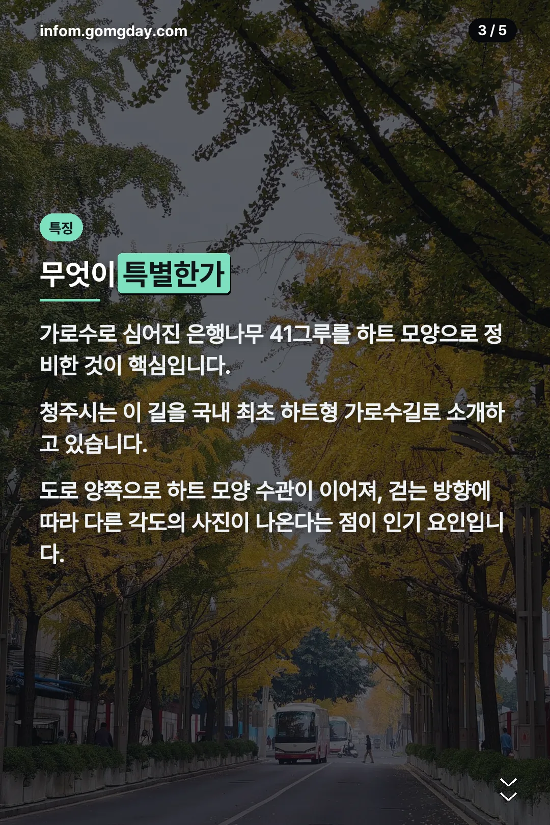 무엇이 특별한지
