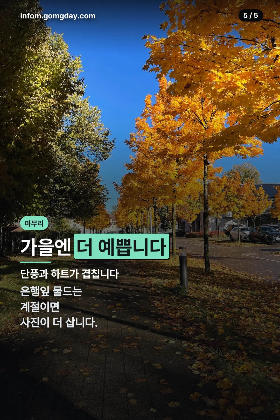 가을 방문 팁