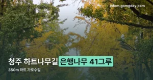 청주 하트나무길 정리 썸네일