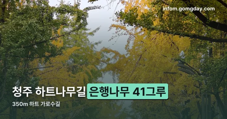 청주 하트나무길 정리 썸네일
