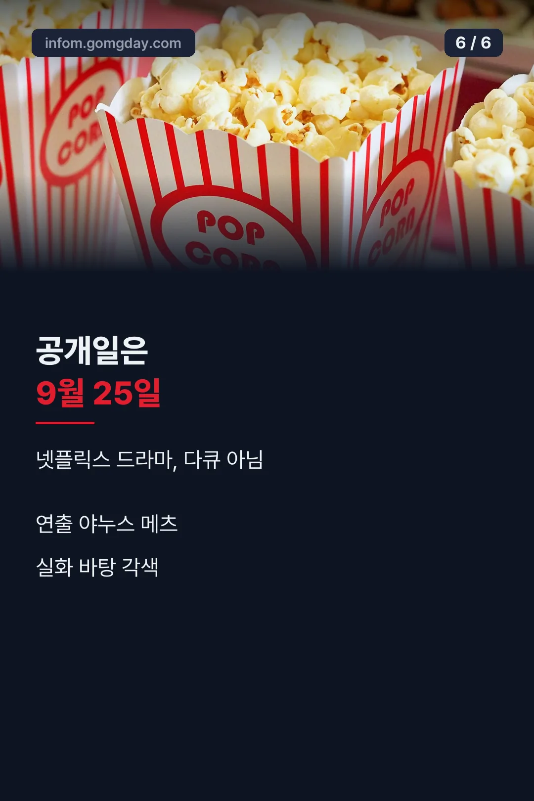 공개일 정보