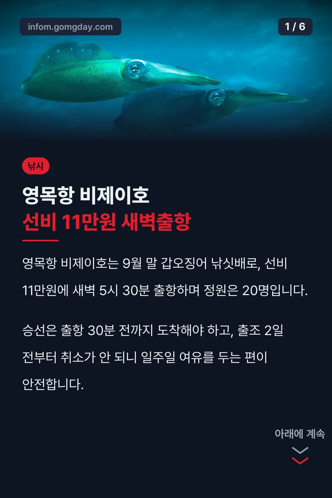 영목항 비제이호 선비 11만원 새벽출항