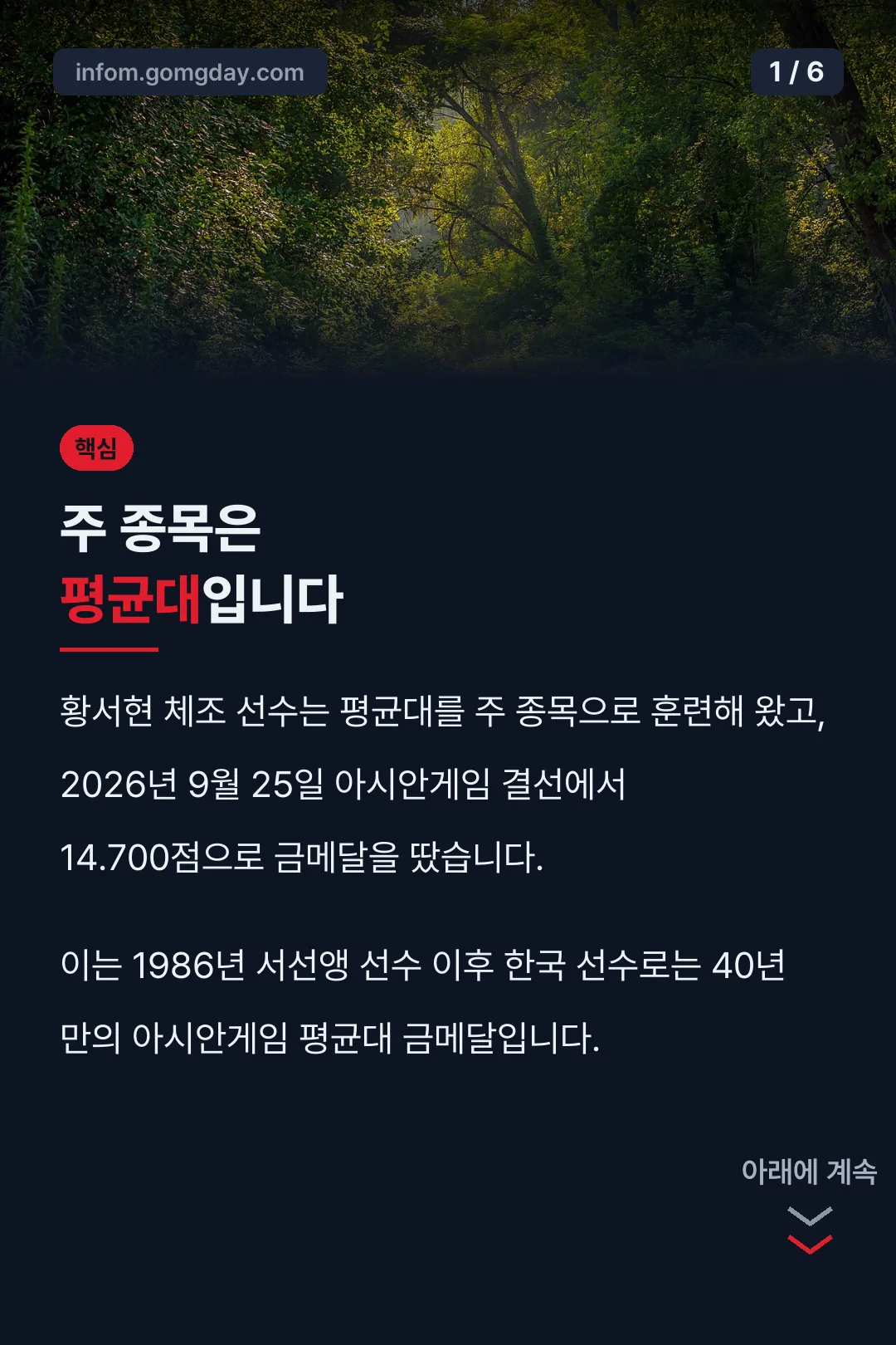 주 종목은 평균대