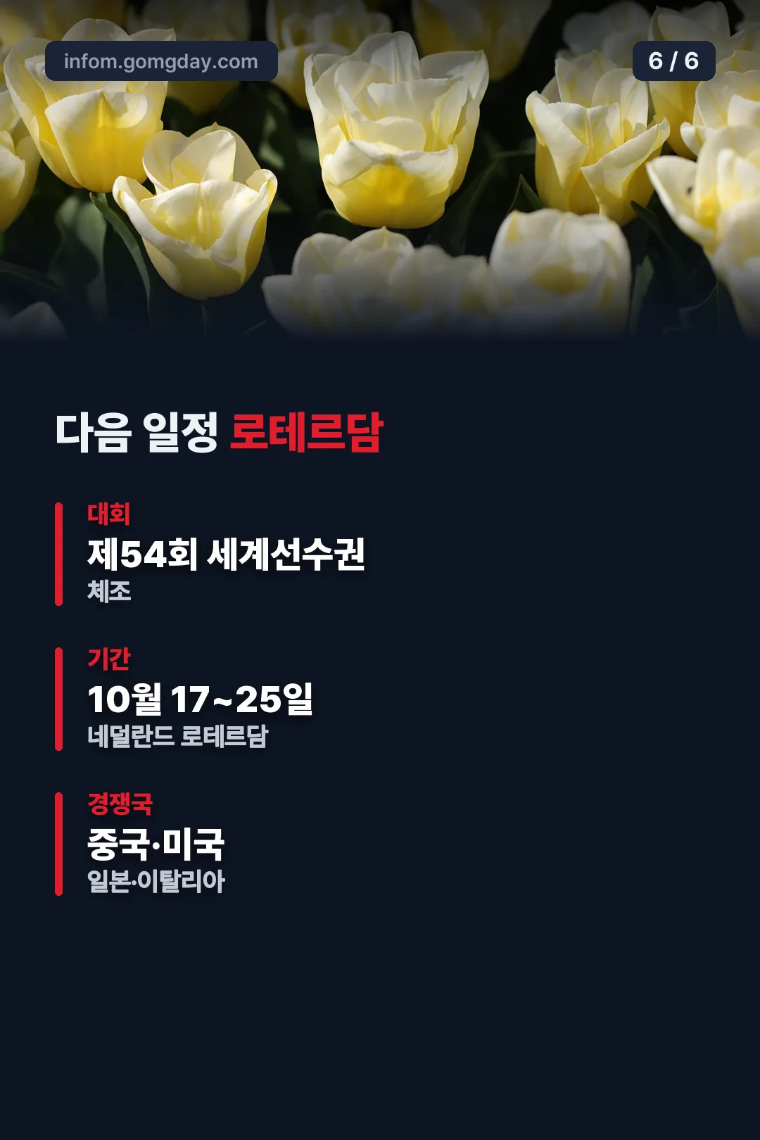 다음 일정 로테르담