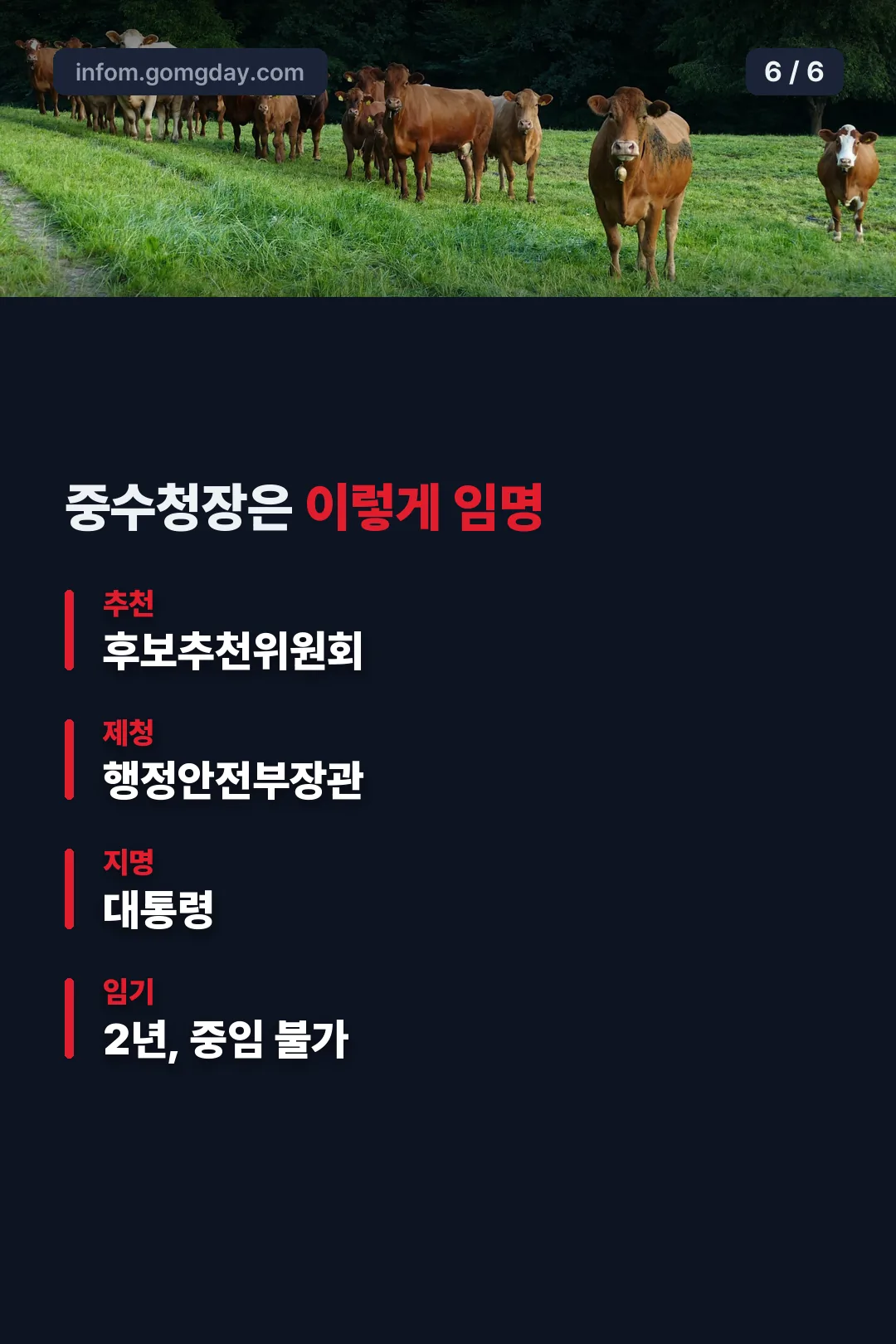 중수청장 임명 절차
